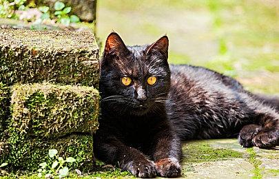 Remedy：《穿越火线X》和《穿越火线HD》故事制作进入尾声 临近发售